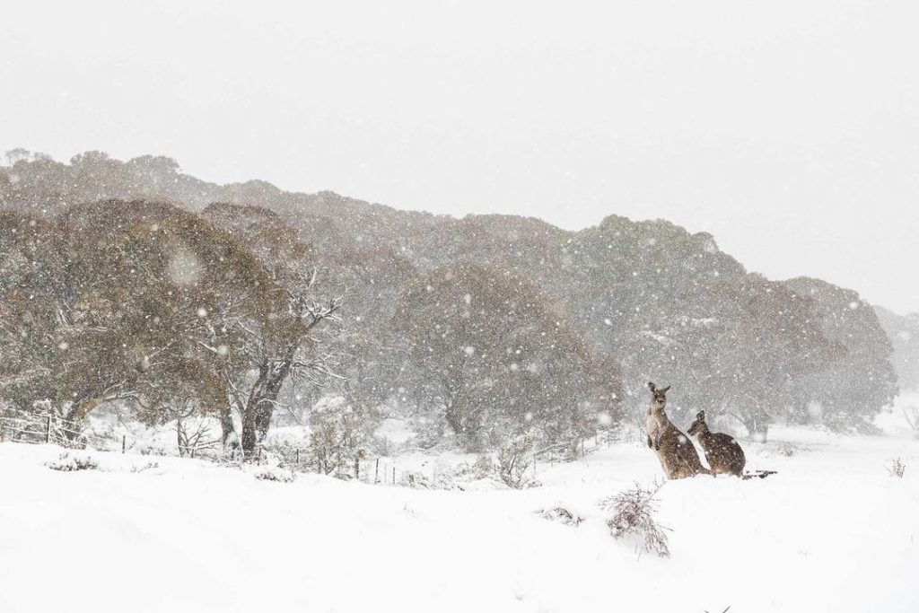 Eleven of the best winter experiences to have in Australia