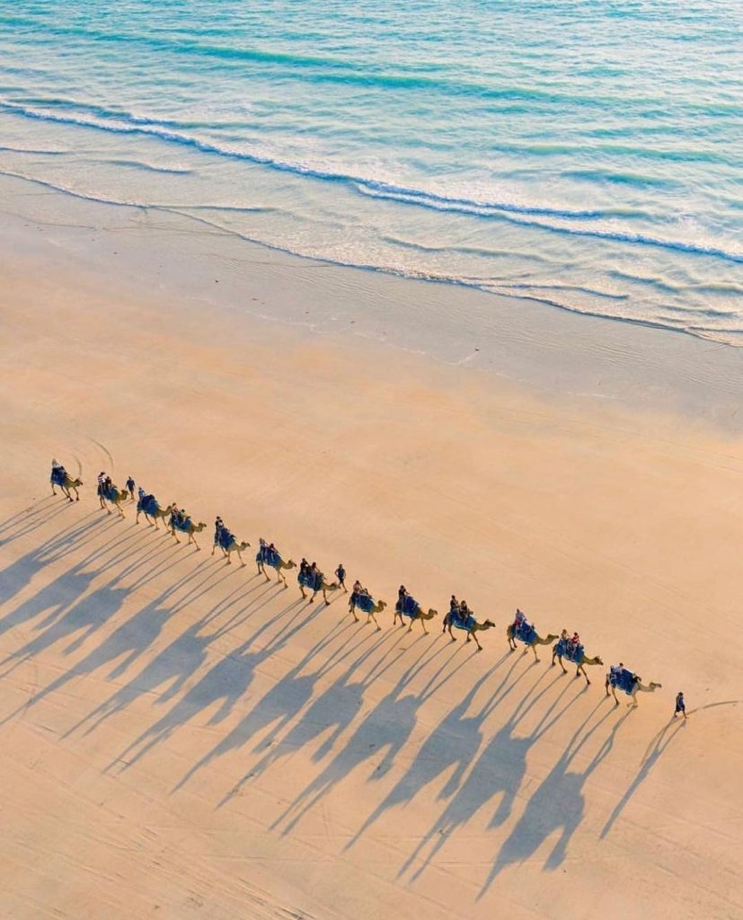 things to do in western australia - cable beach camel ride