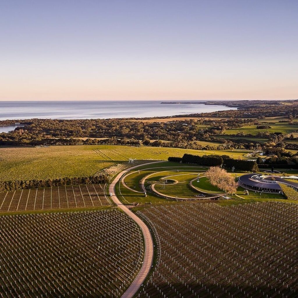 Discover The Best Wine Regions In Australia