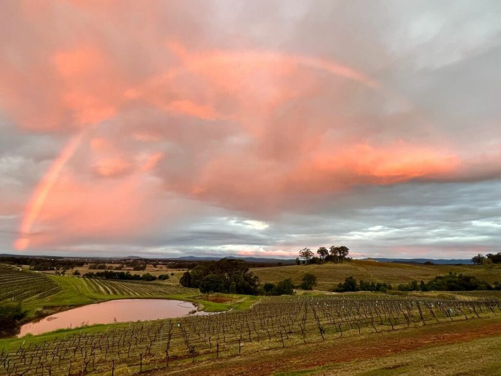 Discover The Best Wine Regions In Australia