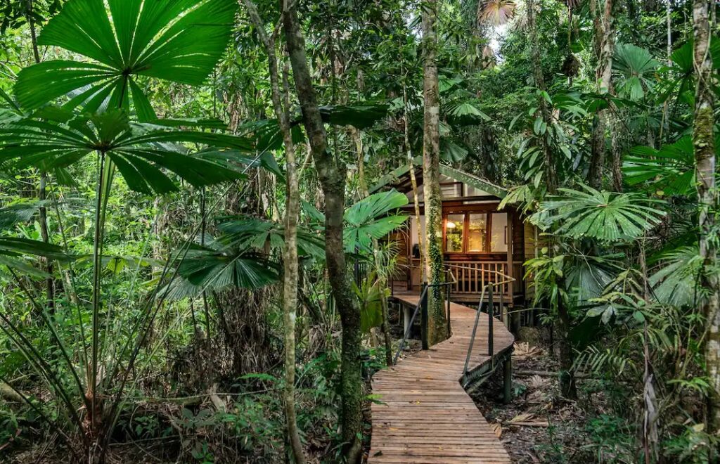 tiny cabins in queensland - rainforest hideaway