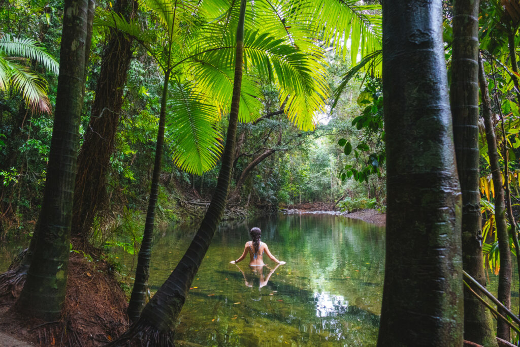 Dive in and Discover 11 of Queensland's Best Swimming Holes