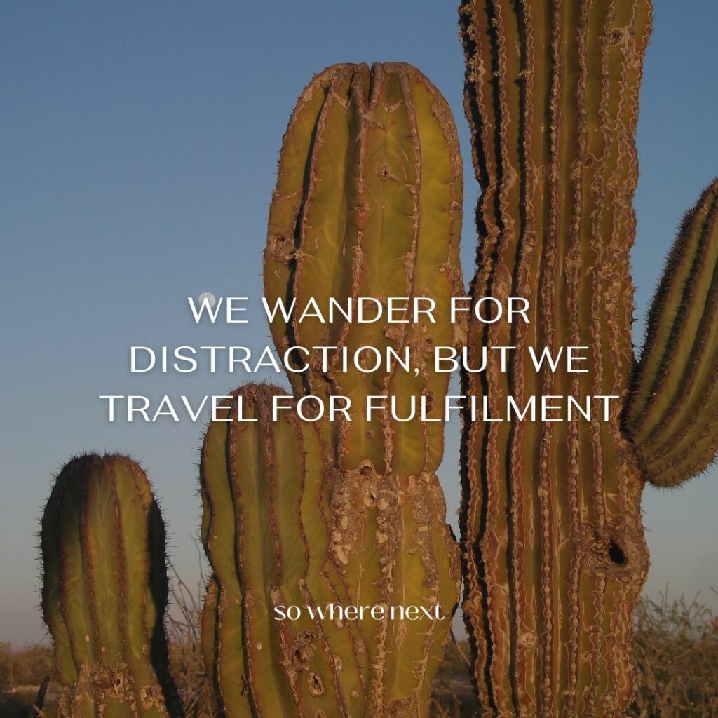 travel quote - We wander for distraction, but we travel for fulfilment.