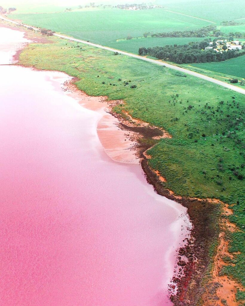 The green rolling hills contrast with the bubble gum pink of Lake Bumbunga