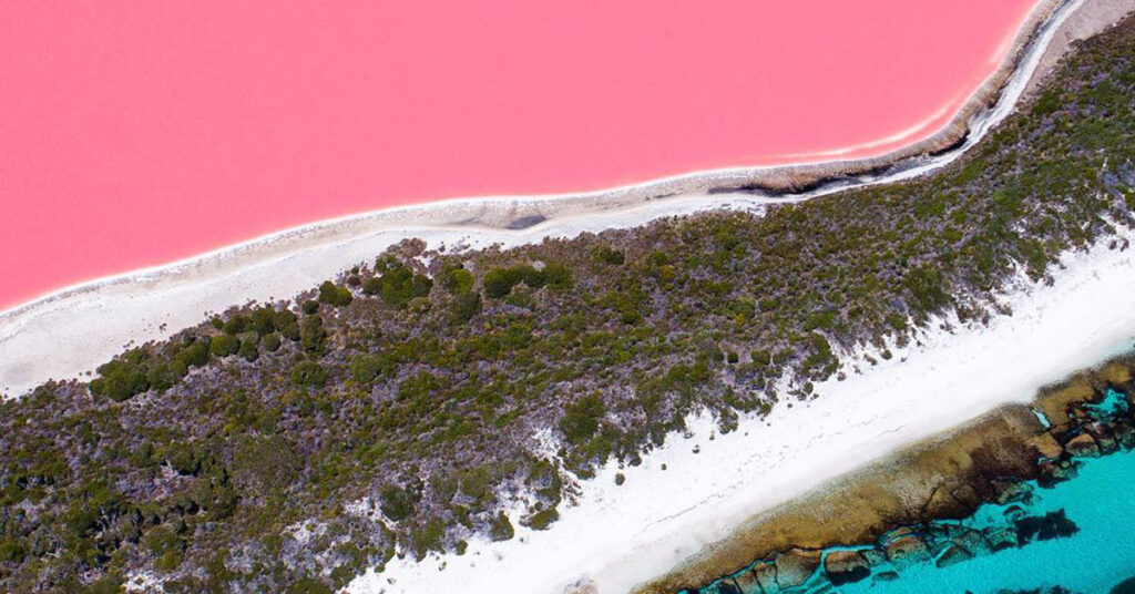 Bright pink lake contrast against aquamarine water with a strip of lush green beach shrubs