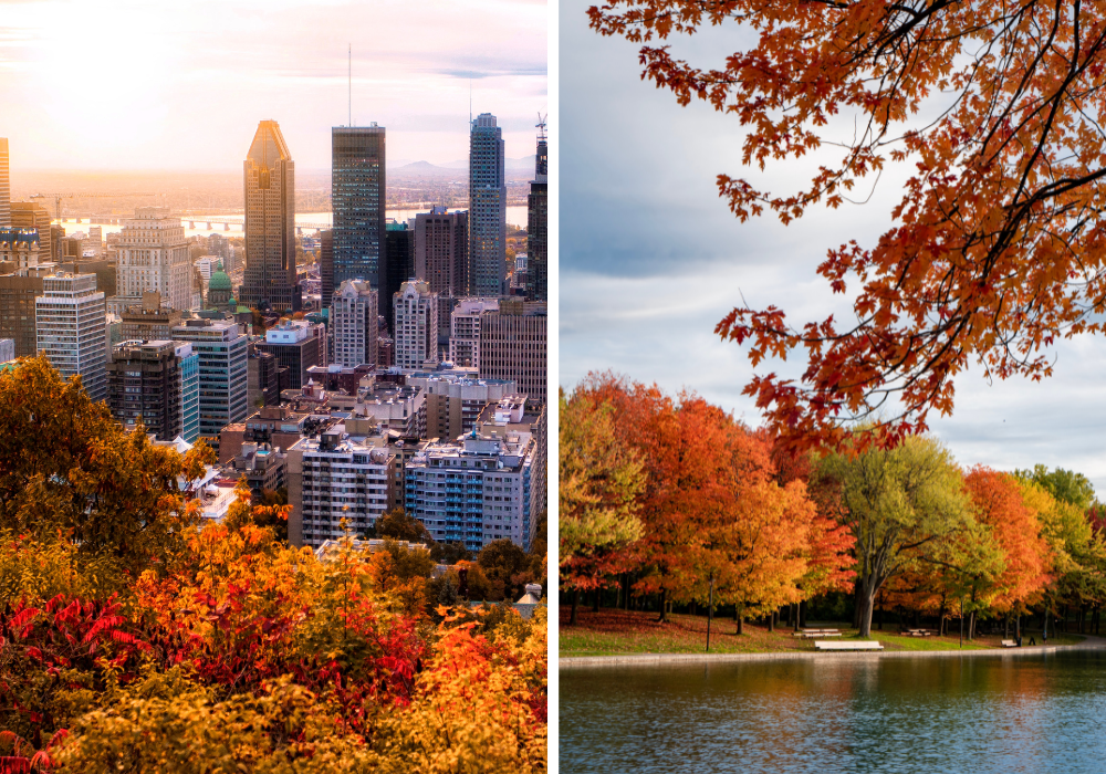 The colours of Fall in Montréal
